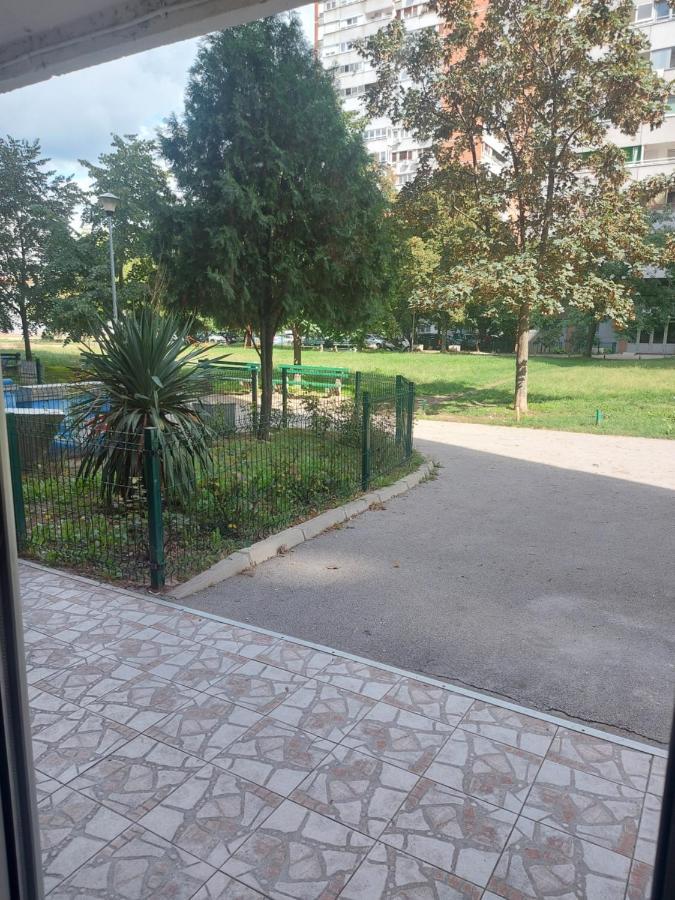 River&Bike Apartment With Free Electric Bike Belgrad Exteriör bild